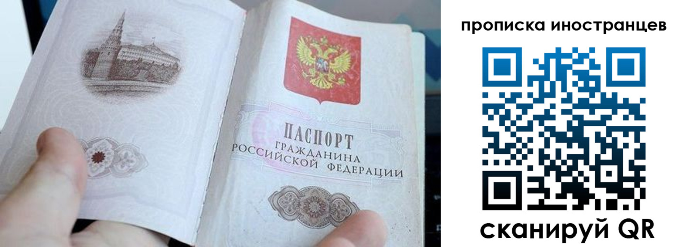 прописка поиск в Невеле